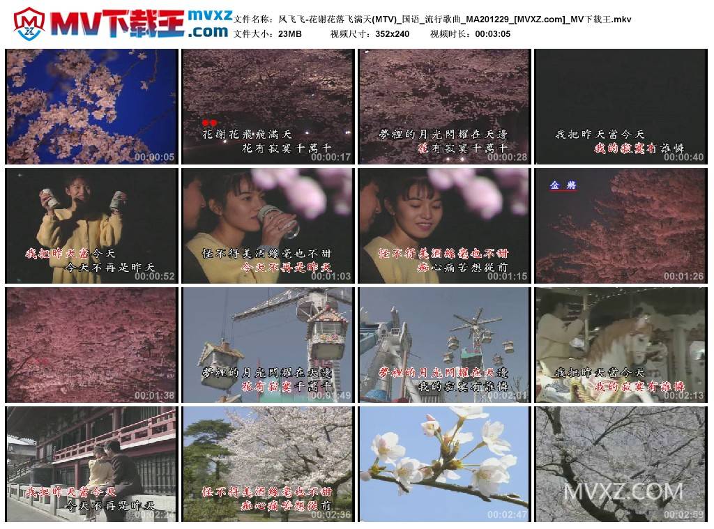 凤飞飞-花谢花落飞满天(MTV)_国语_流行歌曲_MA201229